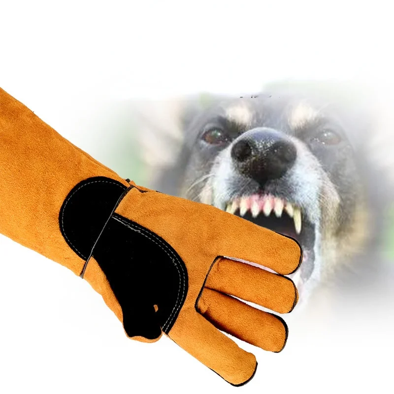 Leatherwork Training - Rękawiczki dla zwierząt Skóra bydlęca Anti-grasping