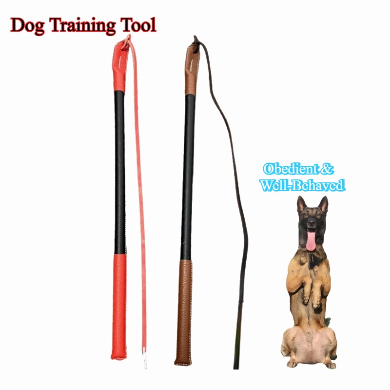 Skórzany bat do treningu psów  – Leatherwork Training recenzja i cena